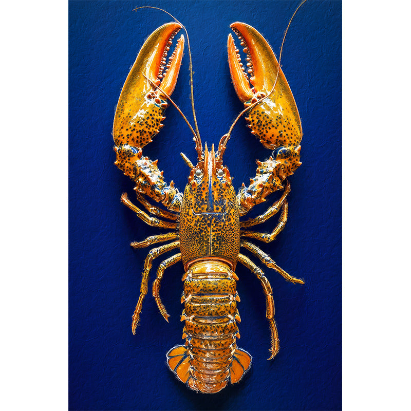 4722_A_golden_lobster copy.jpg