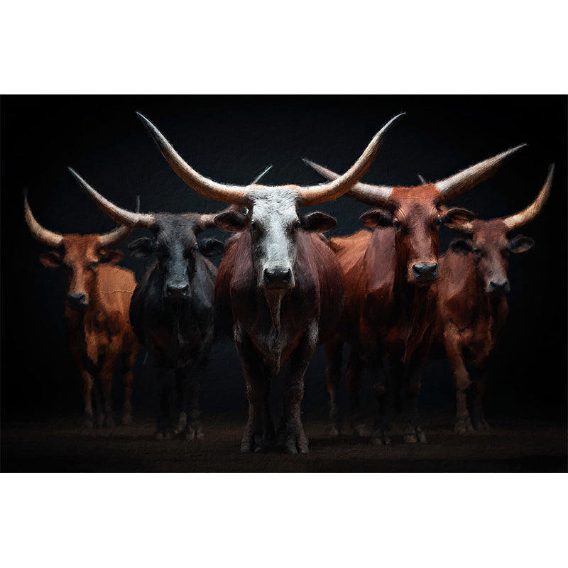 5970_a_group_of_mature_african_watusi_cattle_with_long_0a7c3bb9-d797-4eff-a397-15746544b81e_3-high fidelity v2-6x copy 2.jpg