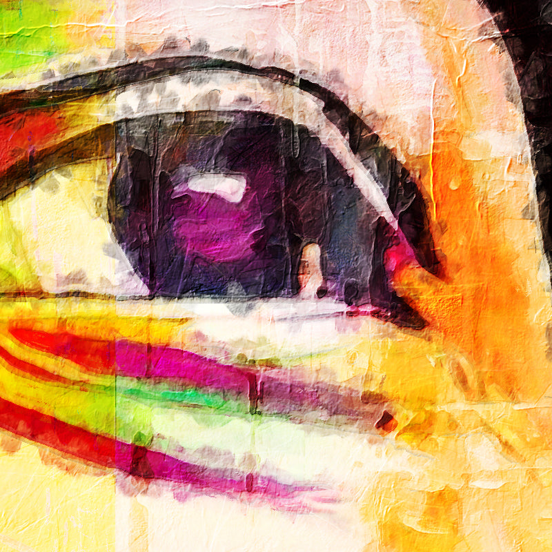 fragme-524.jpg