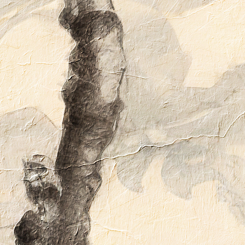 fragment_c-1224.jpg