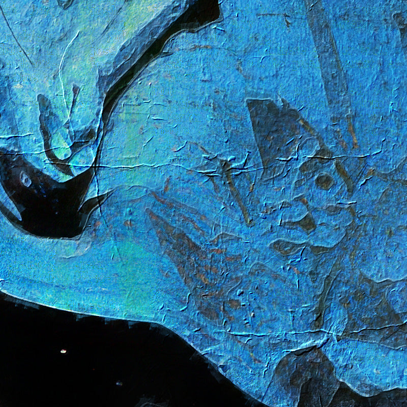 fragment_c-1290.jpg