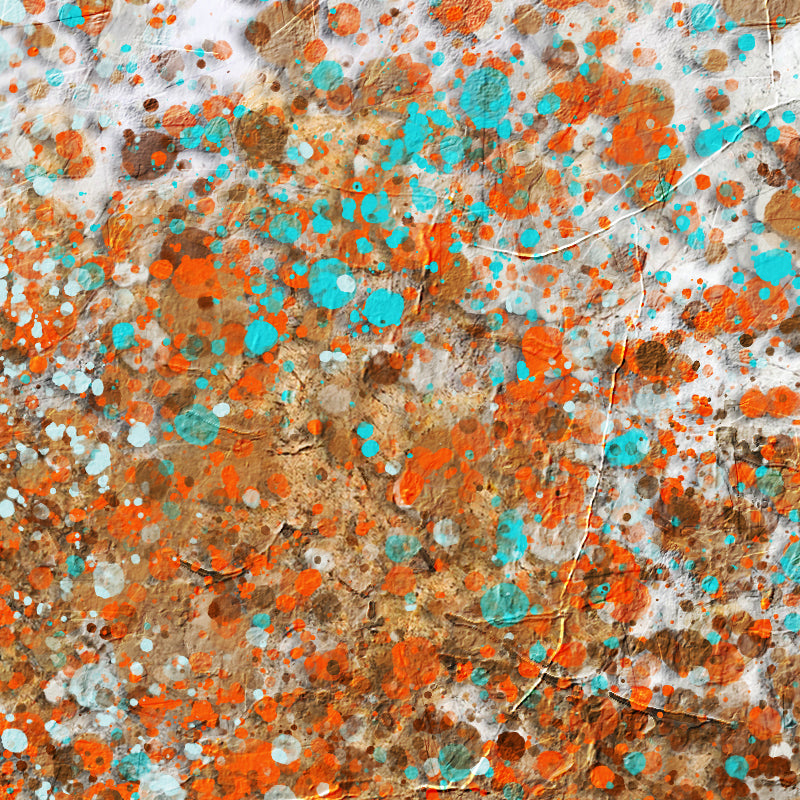 fragment_c-1321.jpg