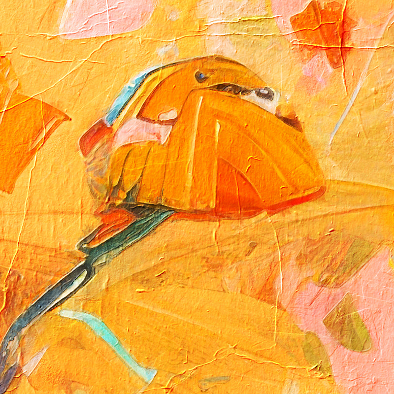 fragment_c-1417.jpg