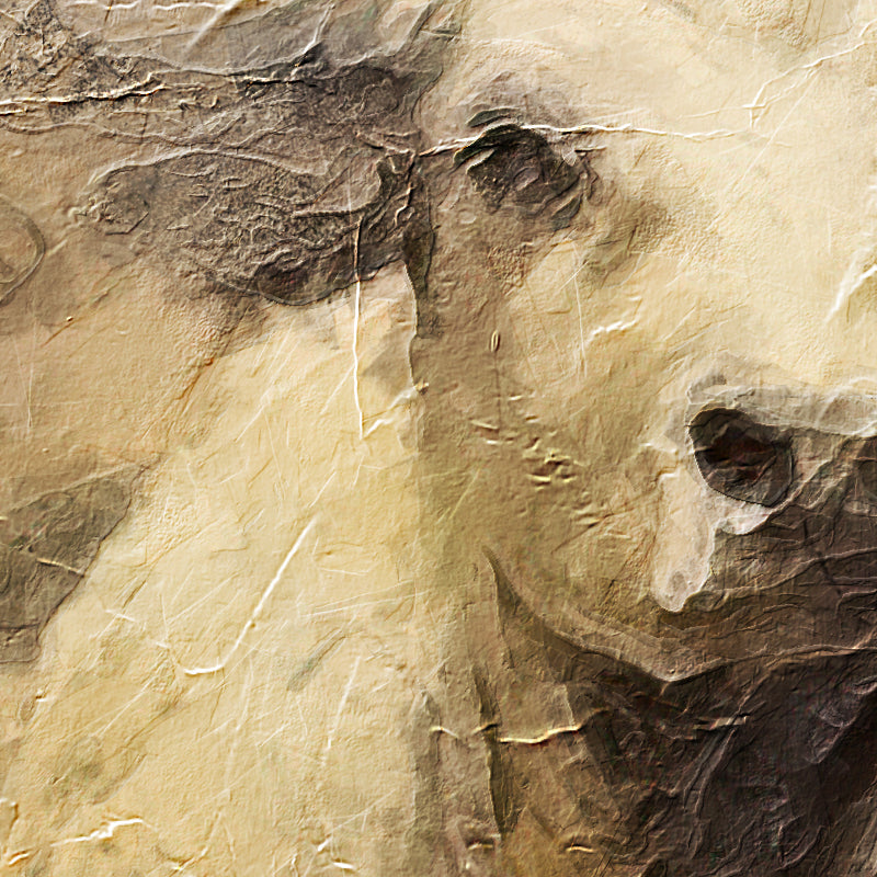 fragment_co-176.jpg