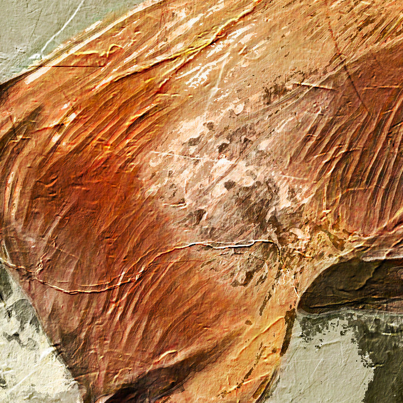 fragment_co-472.jpg