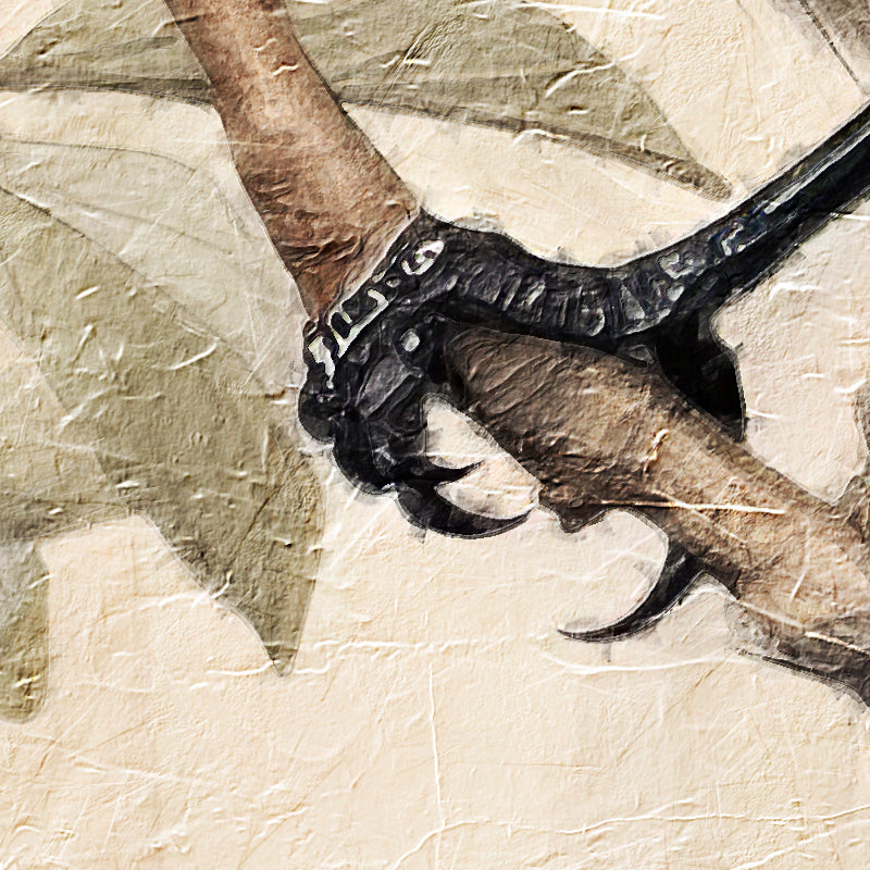 fragment_co-707.jpg