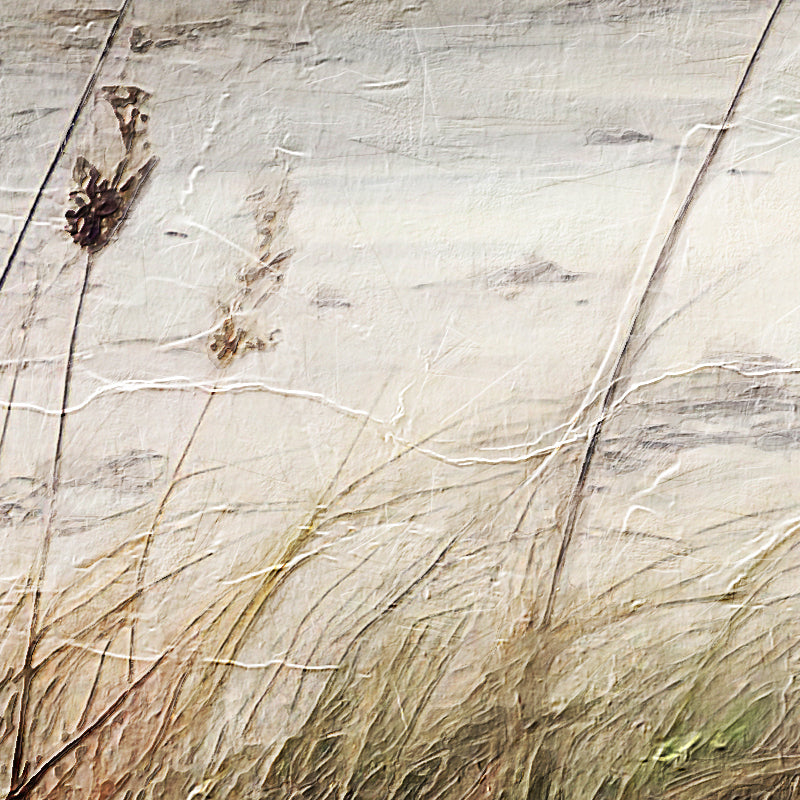 fragment_co-712.jpg