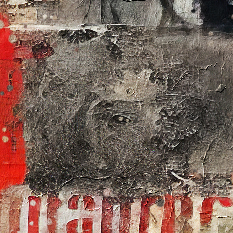 fragment_co-720.jpg