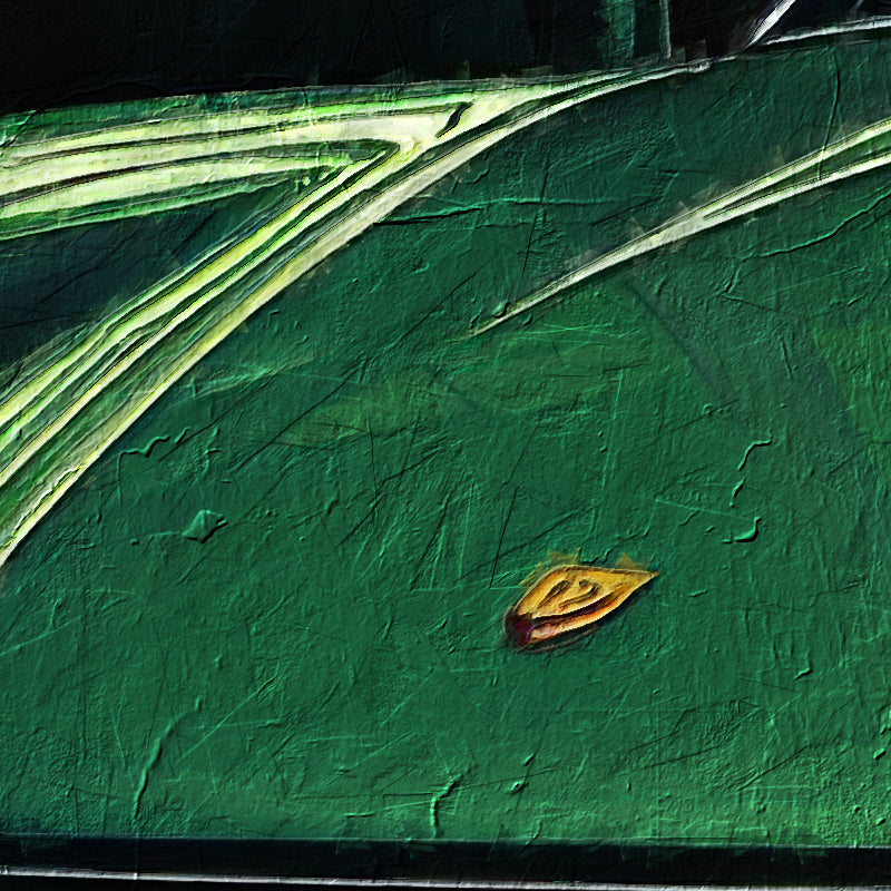 fragment_co-787.jpg