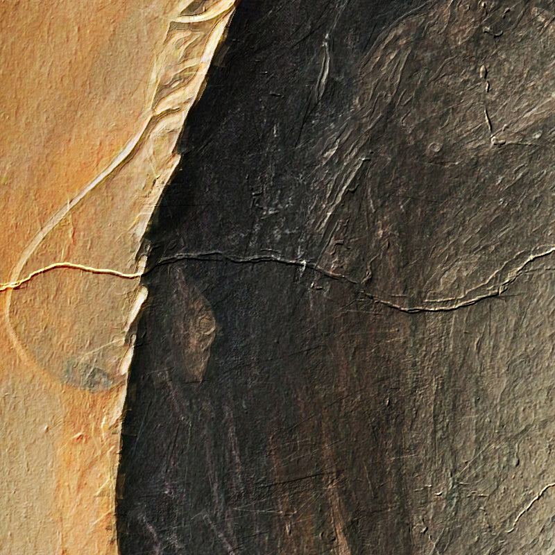 fragment_co-832.jpg