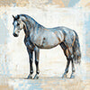 Paarden