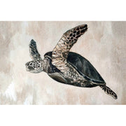 Schildkröte
