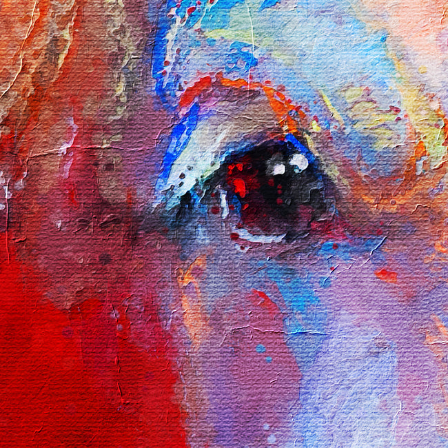 1613595743305.jpg