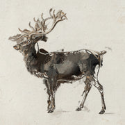 Hirsch II