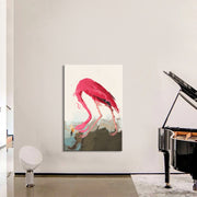 Pink Flamingo  (John Audubon)