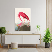 Pink Flamingo  (John Audubon)