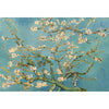 Amandelbloesem (Vincent van Gogh)