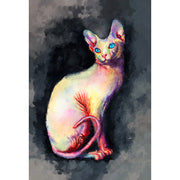 Kat