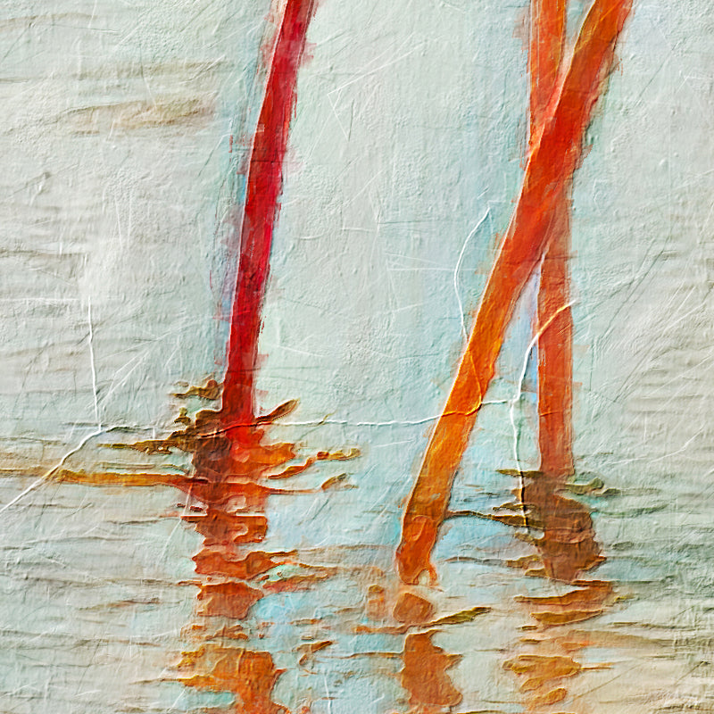 Flamingo Nr. 1
