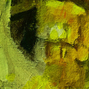 Skull - Van Gogh ( inspiratie)