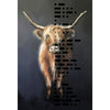 Highland Cow #2
