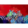 Zebra Nr. 6