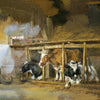 Koeien op stal _ Jan van Ravenswaay (inspiratie)