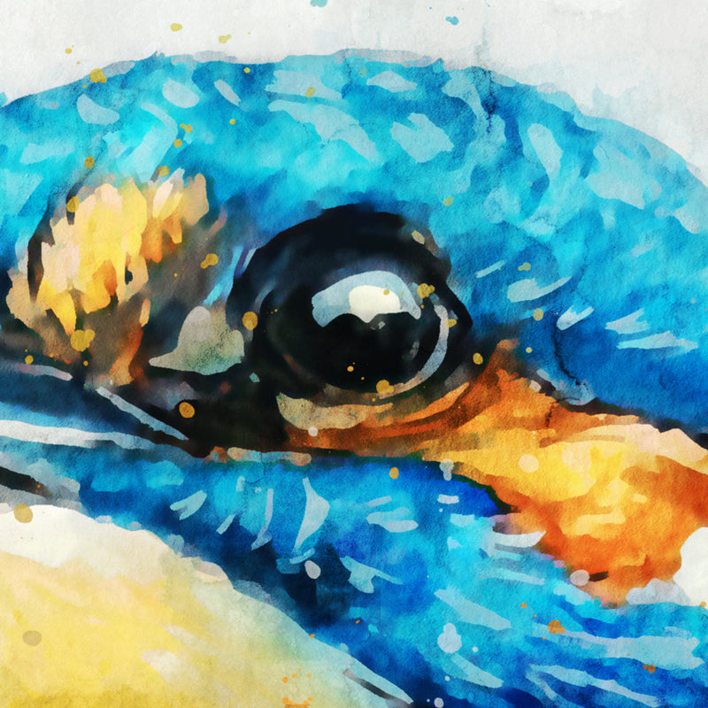 Vogel #6