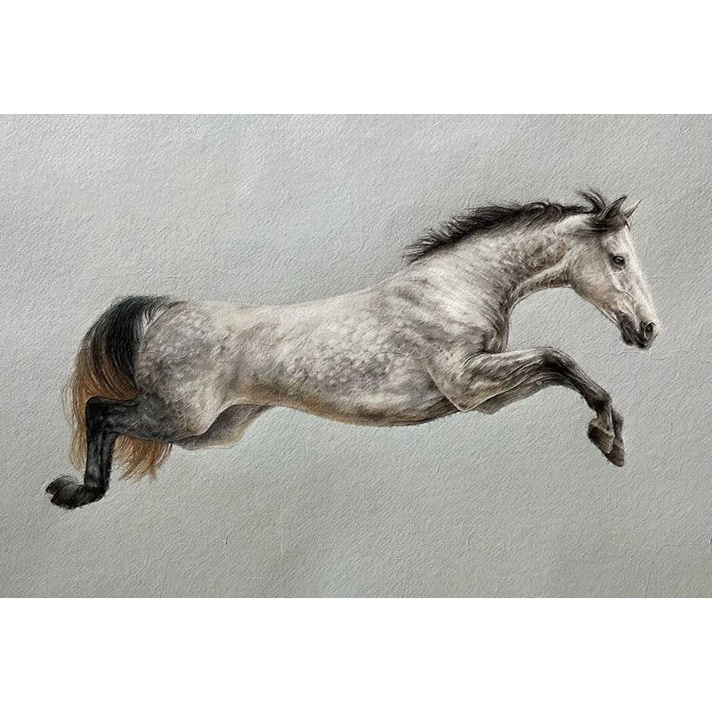 Pferd Nr. 5