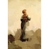 The Grass Burne - Jean-François Millet ( inspiratie)