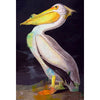 White Pelican - J. Audubon