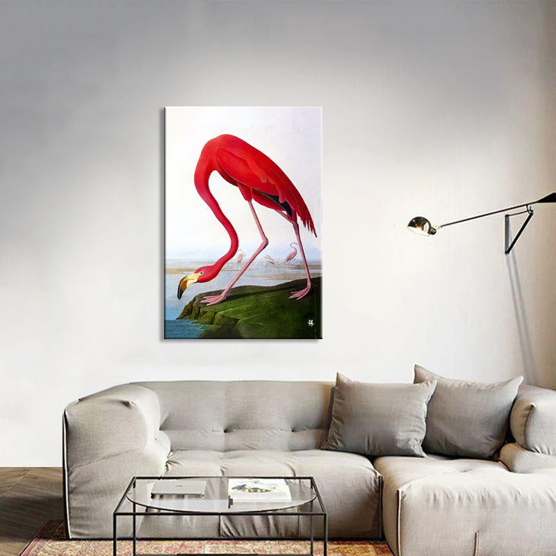 Flamingo  (J. Audubon)
