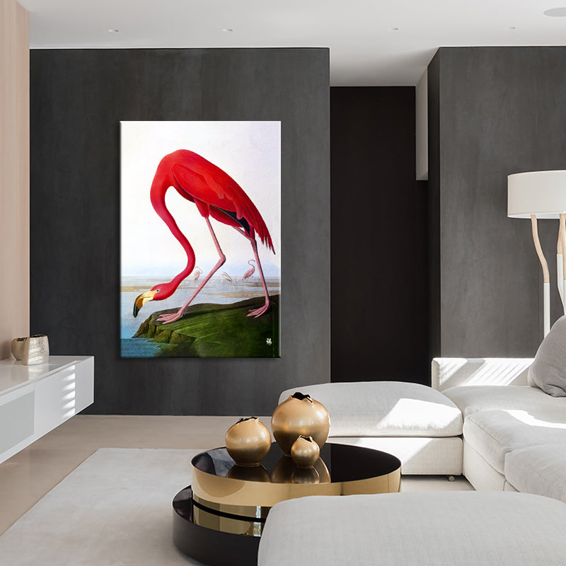 Flamingo  (J. Audubon)