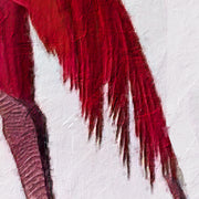 Flamingo  (J. Audubon)