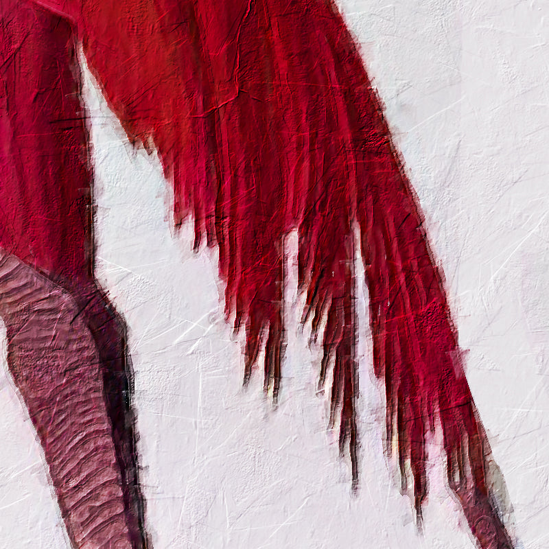 Flamingo  (J. Audubon)