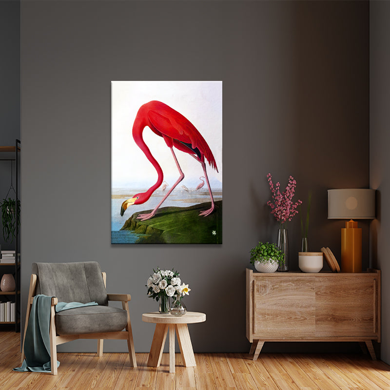 Flamingo  (J. Audubon)