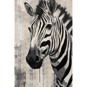 Zebra Q