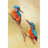 Vogels liefde