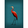 Roter Ibis
