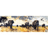 Safari Afrika II