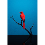 Vogel auf Ast
