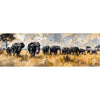 Safari Afrika III