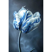 Die blaue Tulpe