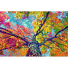 Sich verfärbender Baum