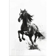 Pferd Schwarz-Weiß-Kunst