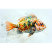 Großer Fisch