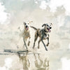 Spielende Hunde II