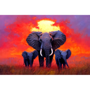 Olifanten familie bij zonsondergang