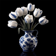 Die Delfter weißen Tulpen