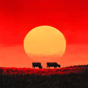 Käfige bei Sonnenuntergang